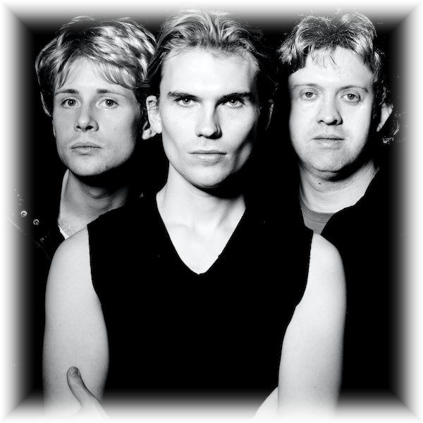 Portrait of The Police Academy